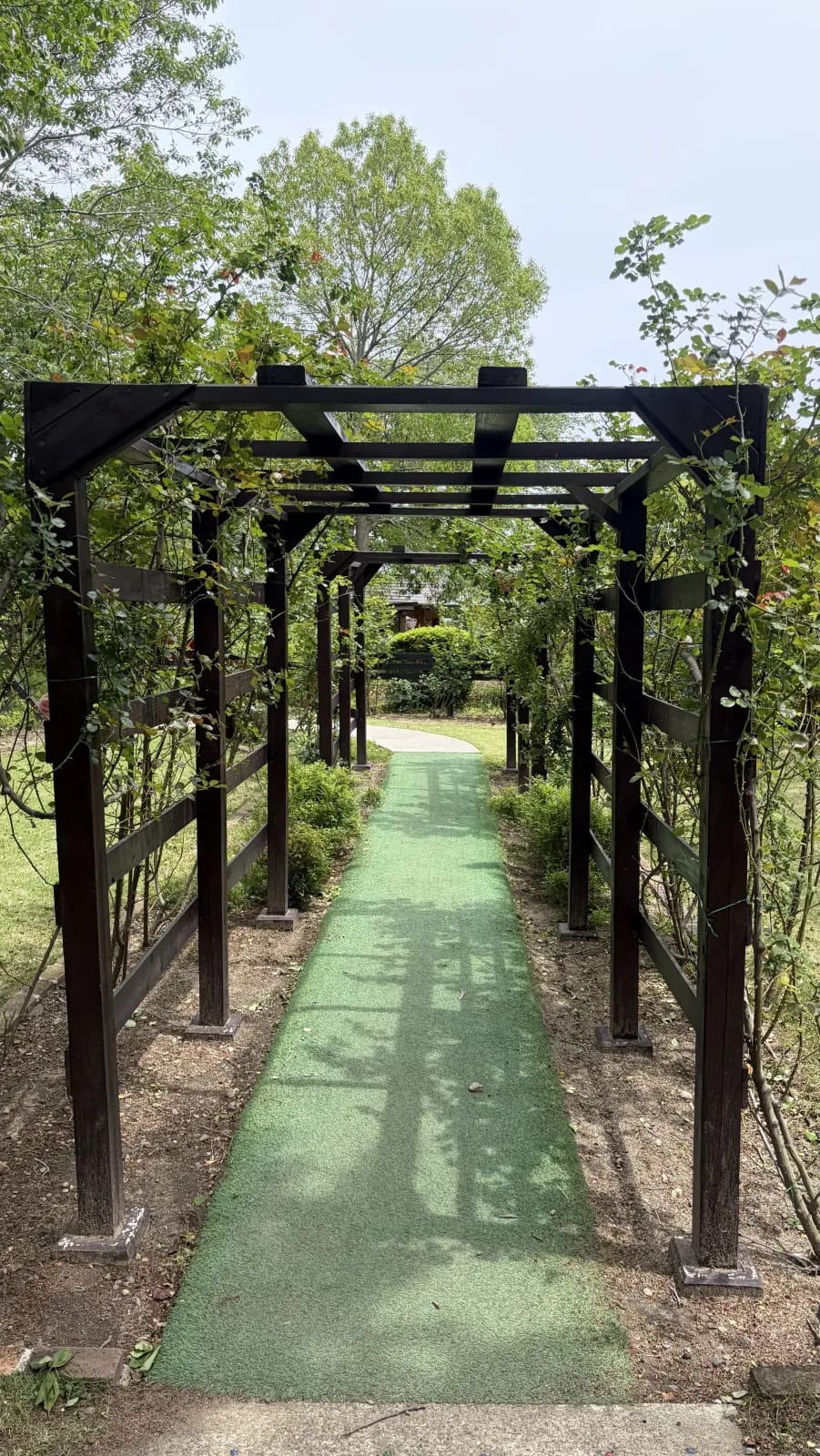The rose park