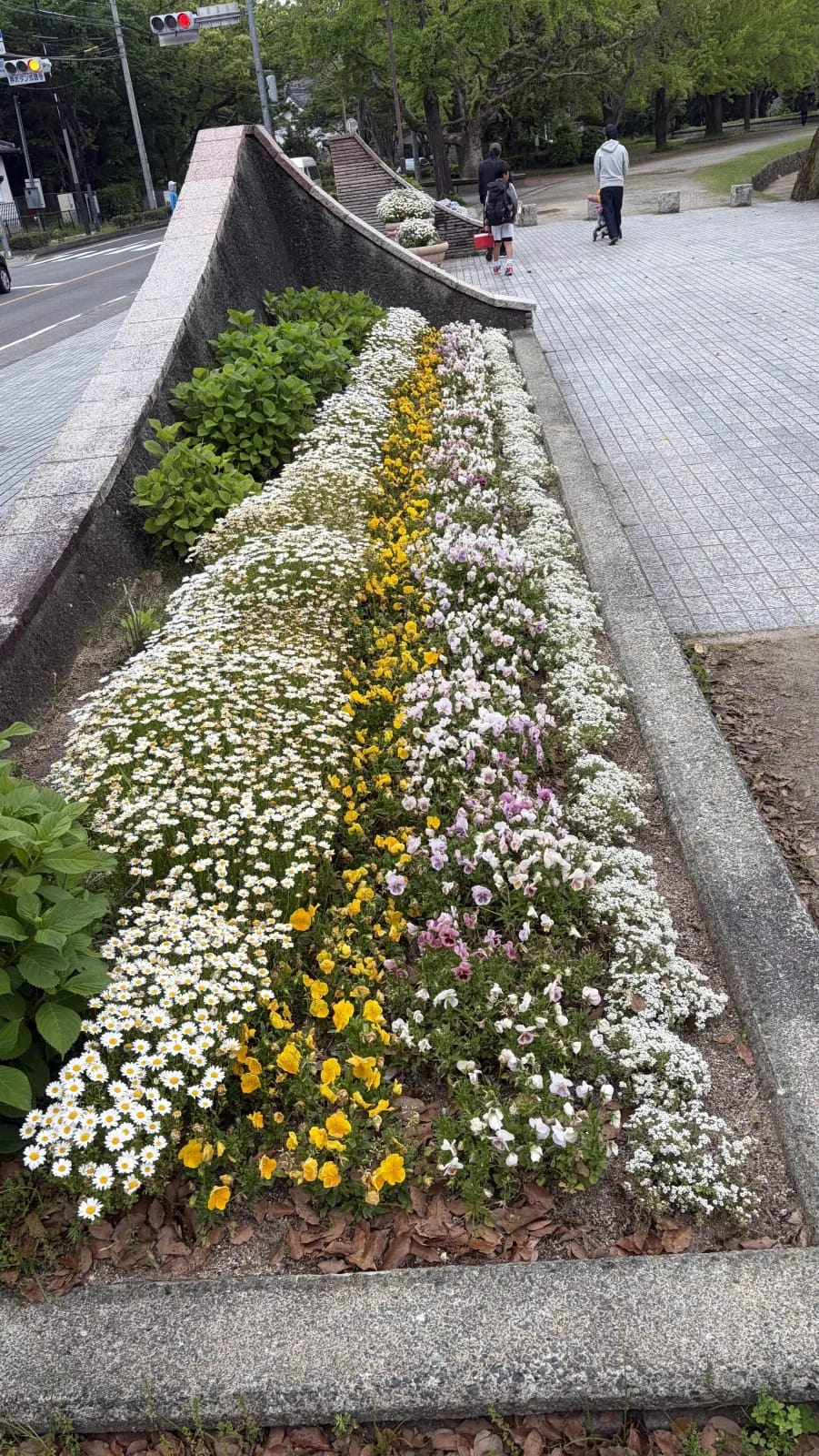Flowers near Maizuru Park